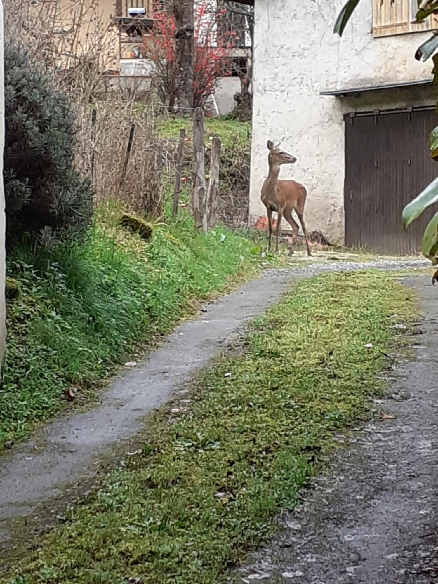 Gite De La Ouedolle Sengouagnet Bagian luar foto