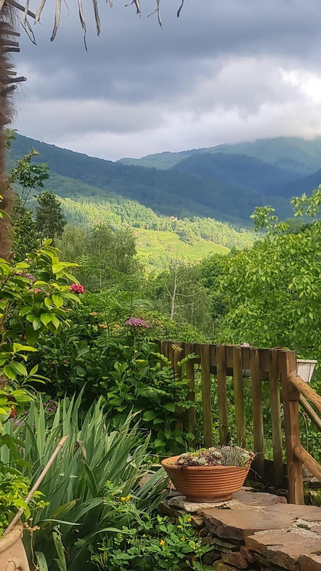 Gite De La Ouedolle Sengouagnet Bagian luar foto